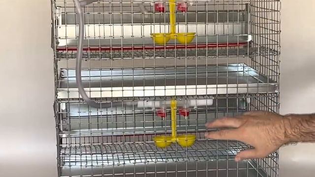 Клетка для перепелов на 30 голов по 15 голов в ярусе смотреть онлайн