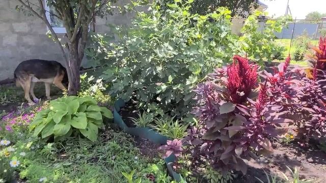 Без Расчётов И Образцов Точно В Цель?