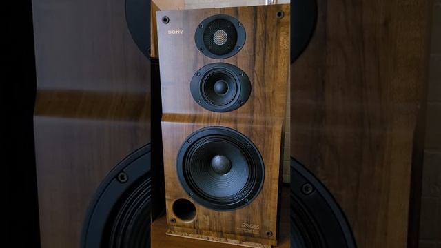 Sony Ss G55