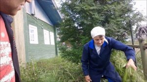 Село Карпогоры, д.Ваймуша 2017г. серия 3. Итоги отпуска) Родник в Турье. Косим траву для меньших)