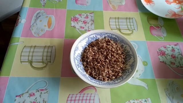 проросшая пшеница своими руками смотреть онлайн