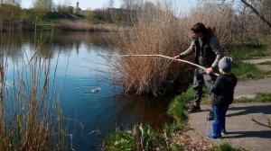 Как на самом деле ловит раколовка зонтик? / рыбалка