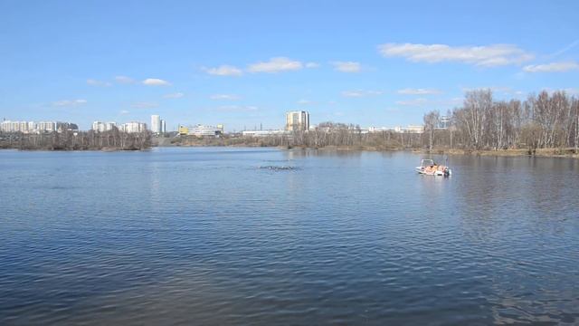 6. заплыв 500 м в Строгино 17.04.2014. вода +5 градусов смотреть онлайн