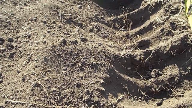 Самодельная ФРЕЗА на самодельный трактор своими руками.Часть 1. смотреть онлайн