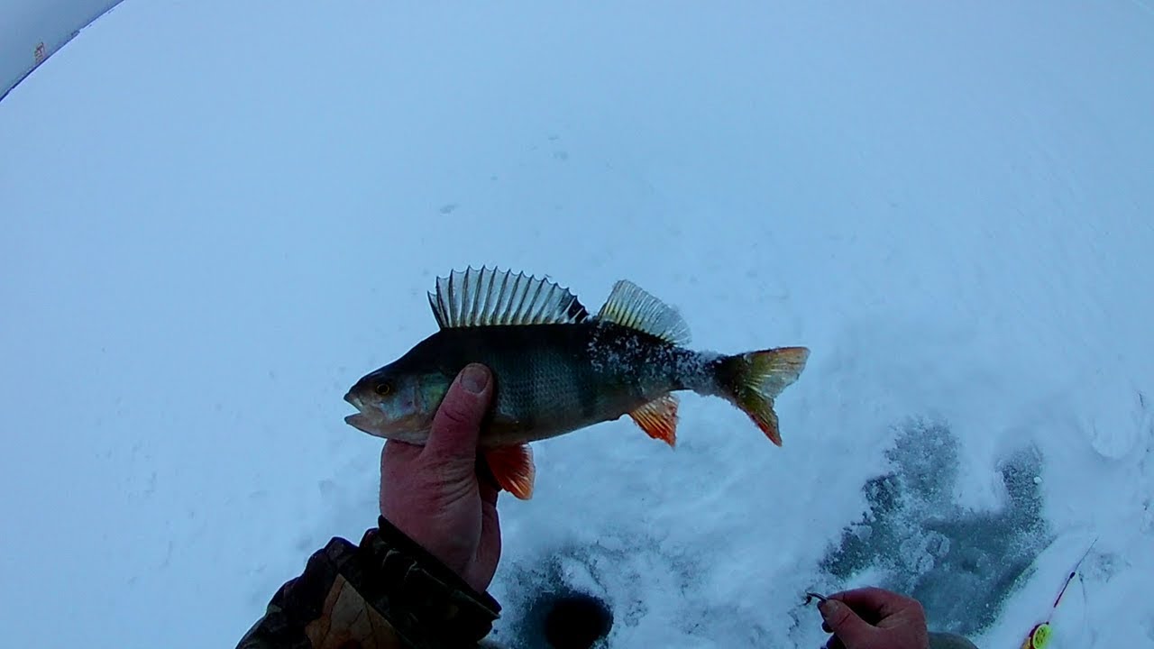 РЫБАЛКА рядом с ГЭС.mp4 смотреть онлайн