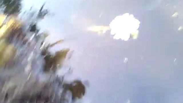 ШОК!!! УКУСИЛА ПИЯВКА