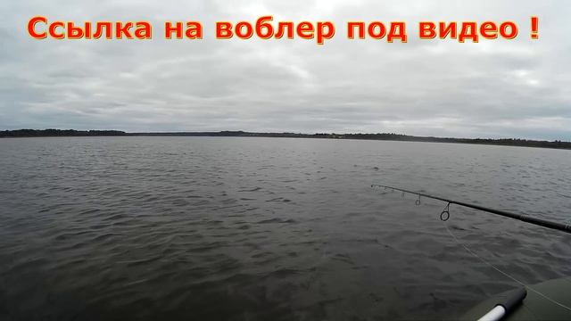 Ловля щуки осенью. Твичинг Realis Jerkbait . Китайский воблер с AliExpress смотреть онлайн