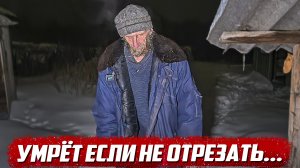 Слабонервным не смотреть! | Все наши старания зря... | Оренбургская обл Оренбургский р/н с.Сергиевка