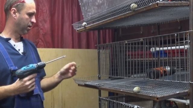 Клетка для перепелов своими руками. Изготовление передней стенки , подробно с размерами. смотреть онлайн