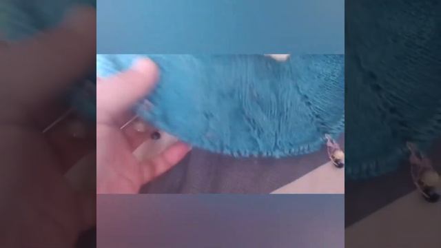 сп,,вяжем из подаренной пряжи,, смотреть онлайн