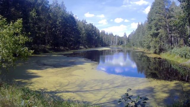 Коссово. Ружаны. Пружаны. Беловежская пуща. оз. Свитязь. Большое путешествие 2018 года. смотреть онлайн