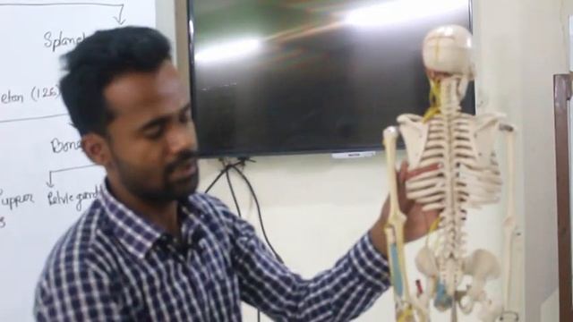 জীববিজ্ঞান ২য় পত্র , একাদশ শ্রেণি смотреть онлайн