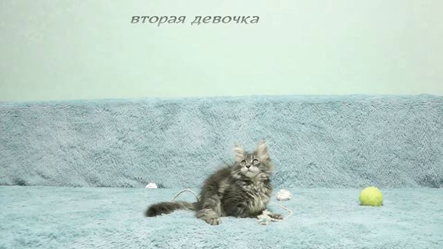 девочки 2 месяца 10 дней смотреть онлайн
