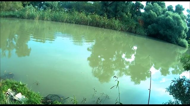 Рыбалка на Казачьем Ерике 2021! Рыбалка на фидер, спиннинг, поплавок# смотреть онлайн