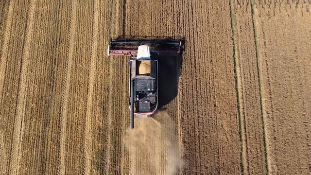 Автоуправление дает результат смотреть онлайн