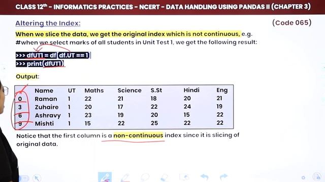 Class 12 Informatics Practices Chapter 3| Altering Index: Reset Index & Set Index(Theory) (Code 065 смотреть онлайн