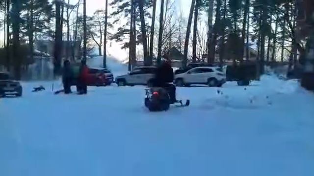 Динго т125 в стригино смотреть онлайн