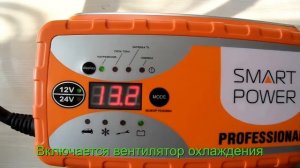 Зарядное устройство SMART POWER PROFESSIONAL "SP-25N"
