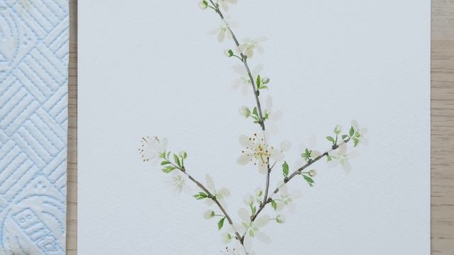 How To Paint Watercolour Honey Bees And Blossom