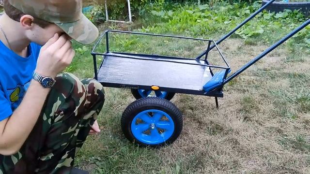 ОБЗОР ХОЗЯЙСТВЕННОЙ ТЕЛЕЖКИ ZiDiOтг3 "Ренесанс" смотреть онлайн