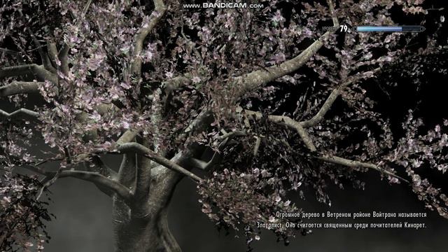 SkyrimSE 2022 06 15 10 45 07 506 смотреть онлайн