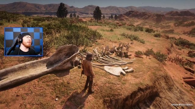 UFO WHALE FOUND in Red Dead Redemption 2! смотреть онлайн