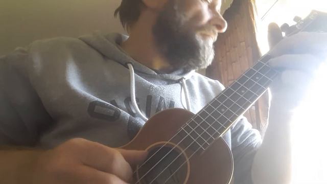 Here Comes The Sun Ukulele cover. смотреть онлайн