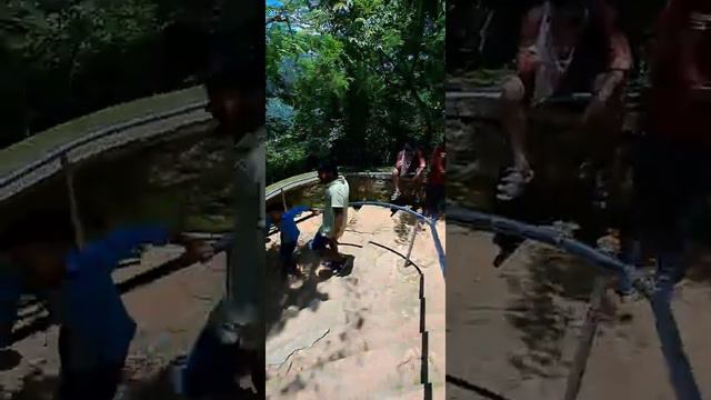 AGAYA GANGAI 🤣🏞️water falls at KOLLI HILLS ⛰️ |1 experience of kolli hills|#kollihills смотреть онлайн