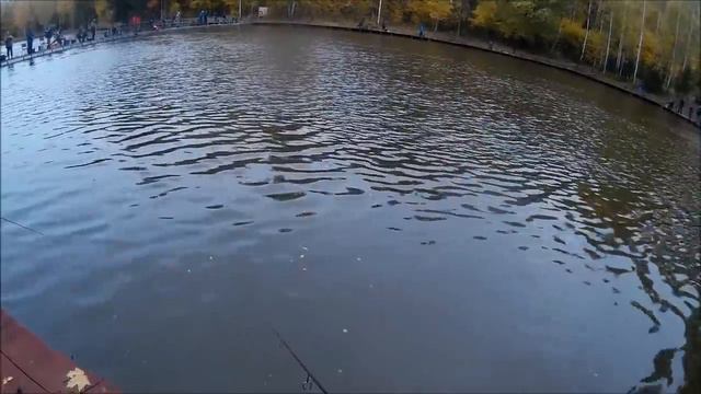 08.10, КМ ФОРЕЛЬ ХОРОШО ОТЗЫВАЕТСЯ НА ЖЕЛЕЗО, ОБЗОР СПОРТ ЗОНА смотреть онлайн