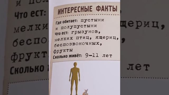Факты о животных #2 смотреть онлайн