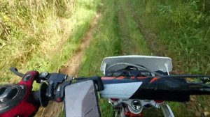 Покатушки на ПитБайке KAYO TT125EM✅ По лесам и полям ✅ Никитские катакомбы часть 2✅®️