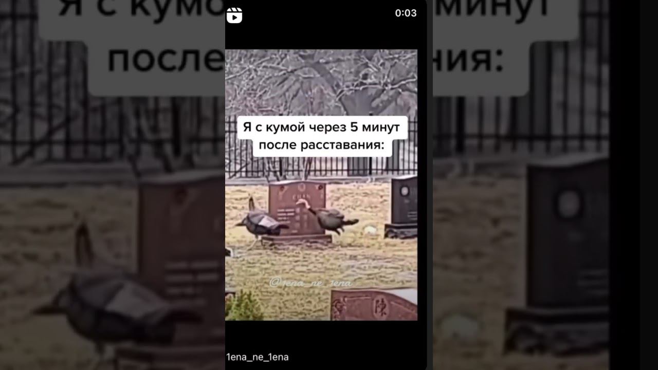 26 июня 2023 г. смотреть онлайн