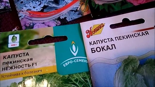 Жарю беляши сею цветы в теплицу смотреть онлайн