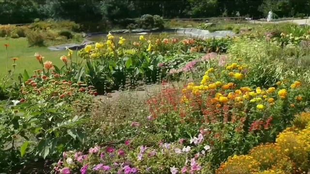 Ботанический сад им. Н.Н. Гришко г. Киев 2019 смотреть онлайн