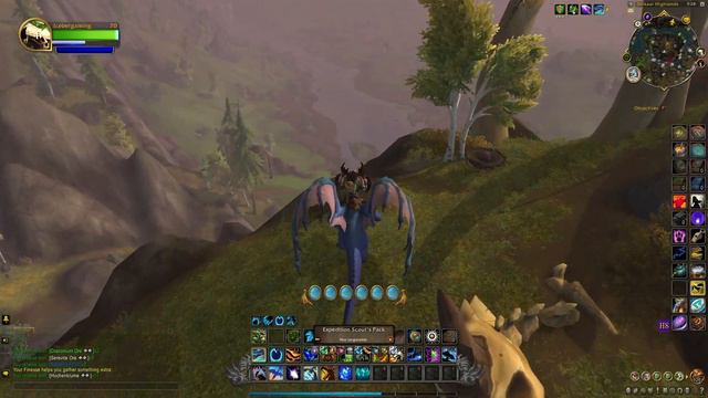 All Secret Profession Master Trainer Locations! - World of Warcraft Dragonflight Knowledge Guide смотреть онлайн