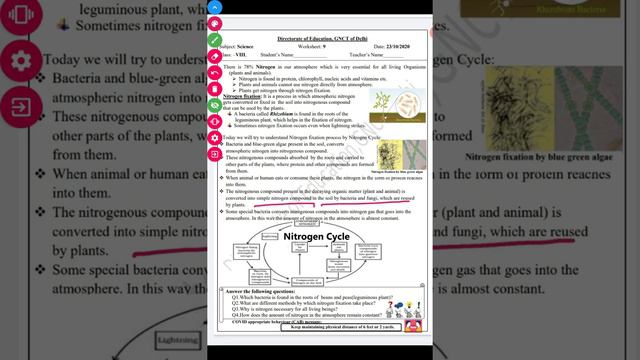 | Worksheet-9 Solutions Class 8 | Nitrogen | смотреть онлайн
