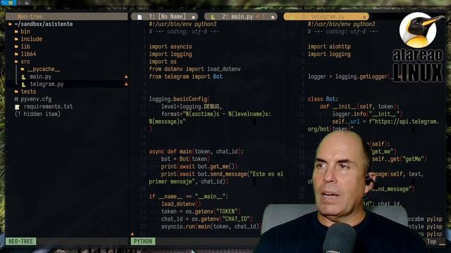 Depurar Python en Neovim смотреть онлайн
