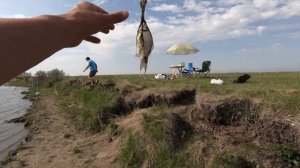 Отличная майская рыбалка на карася село Надеждино Омской области 2021