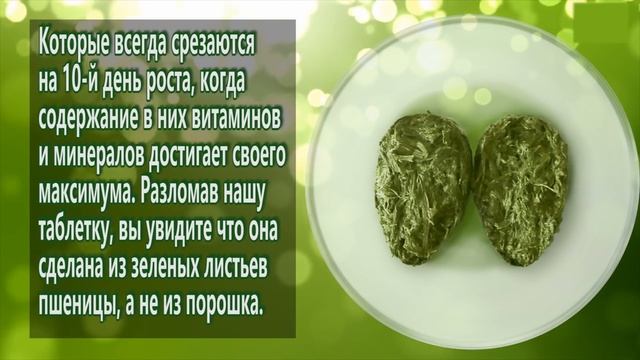 Новый продукт ростки пшеницы пресcованные. Dom-Land смотреть онлайн