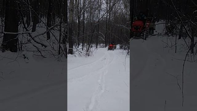 Синтай244 по первому снегу в лесу. смотреть онлайн