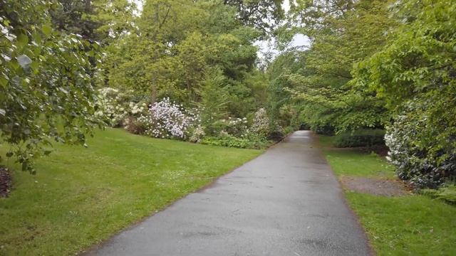 Kew Gardens Rhododendron Dell - Osmo Pocket 4k смотреть онлайн