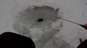 Зимняя Рыбалка на реке Дон. Ловля на покаток.