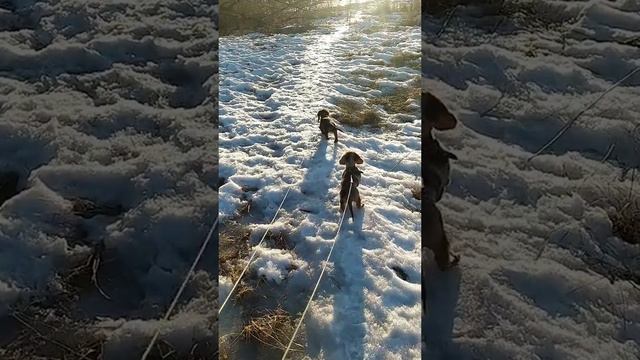 Как мир ? интересен