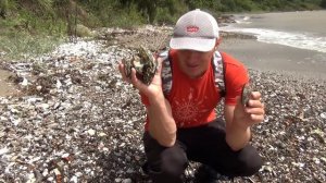 Сбор морепродуктов после шторма. поиск морепродуктов на берегу. дары моря после шторма.