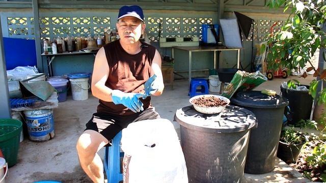 292/ปุ๋ยหมักขี้วัว หมักง่ายๆในกระสอบ ปุ๋ยดีมีไนโตรเจนสูง / Cow manure compost смотреть онлайн