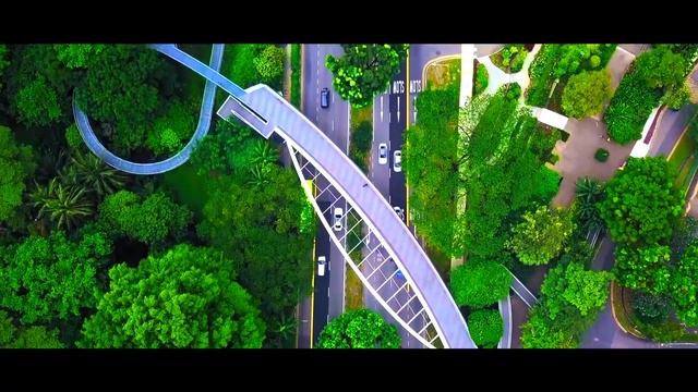 SINGAPORE ACADEMY OF CORPORATE MANAGEMENT смотреть онлайн