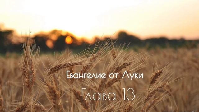 Евангелие от Луки, глава 13 смотреть онлайн