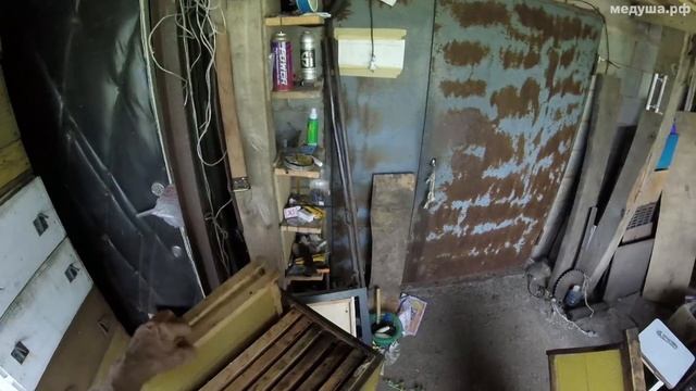Дневник пчеловода - Расширение семей, наващивание рамок, щурки. смотреть онлайн