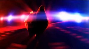 Chicken Song -Geco Remix 10 часов HD