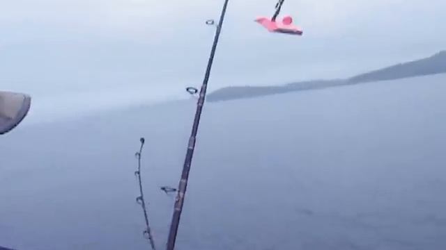 Использование планера TX-24 смотреть онлайн